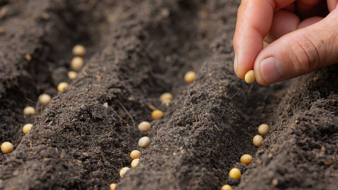 como-abrir-sua-loja-de-de-produtos-agropecuarios